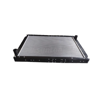 Sinotruk Water Cooling Radiator 752W06100-0007 for Howo Trucks 