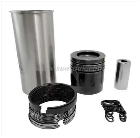 612600900080 Engine Overhaul Kit for WEICHAI WD12.420